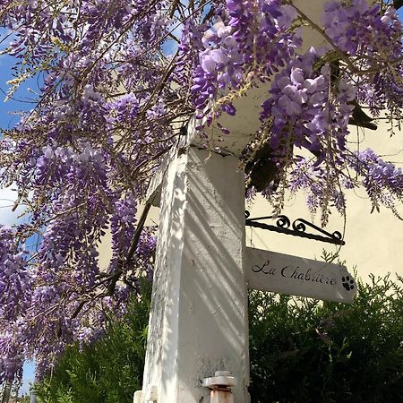 La Chabrière, briarde de charme au calme proche Disneyland Lumigny Esterno foto